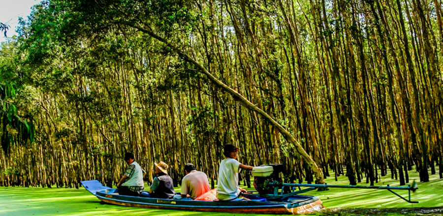 Slide banner cừ tràm Long An