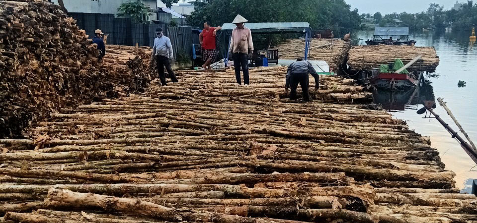 Phân phối cừ tràm giá sỉ