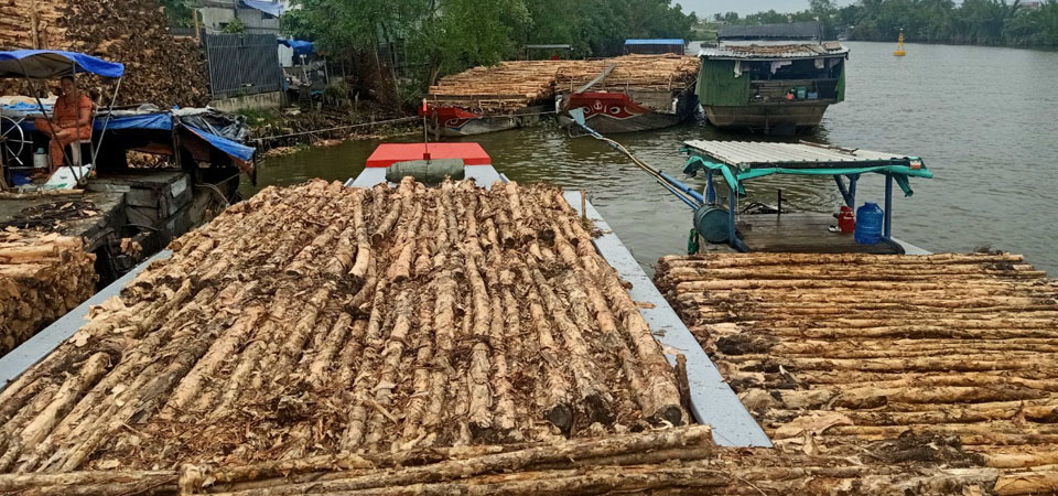 Phân phối cừ tràm giá sỉ