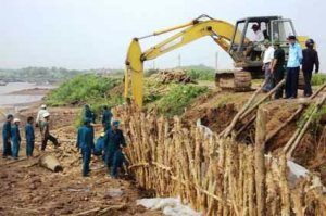 Dịch vụ đóng cọc cừ tràm